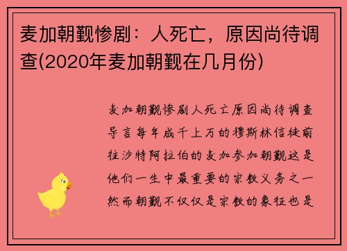 麦加朝觐惨剧：人死亡，原因尚待调查(2020年麦加朝觐在几月份)